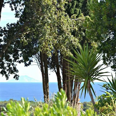 Santolina Capoliveri (Isola d'Elba)